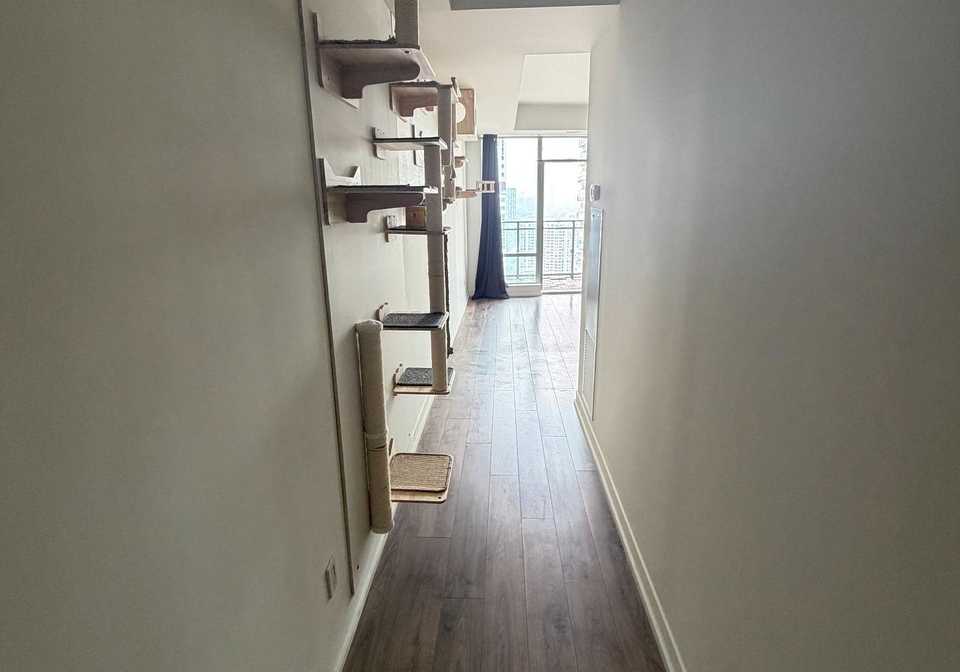 21-widmer-street-toronto-toronto-ontario-c13578498