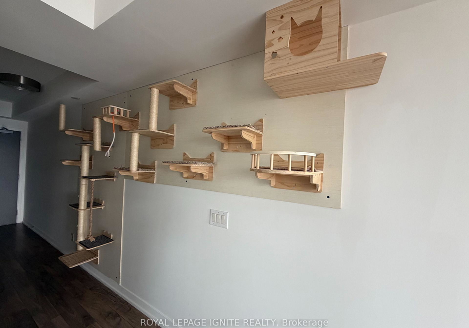 21-widmer-street-toronto-toronto-ontario-c13578498