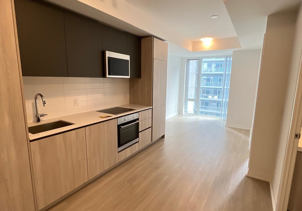 8-widmer-street-toronto-toronto-ontario-c13578552