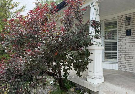 465-hounslow-avenue-toronto-toronto-ontario-c13584078
