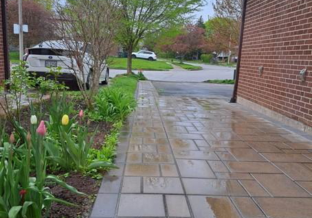 148-sexton-crescent-toronto-north-york-ontario-c13587532