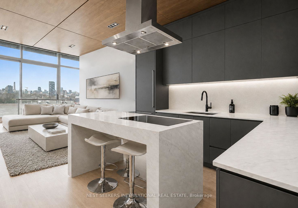 388-richmond-street-w-toronto-toronto-ontario-c13594638