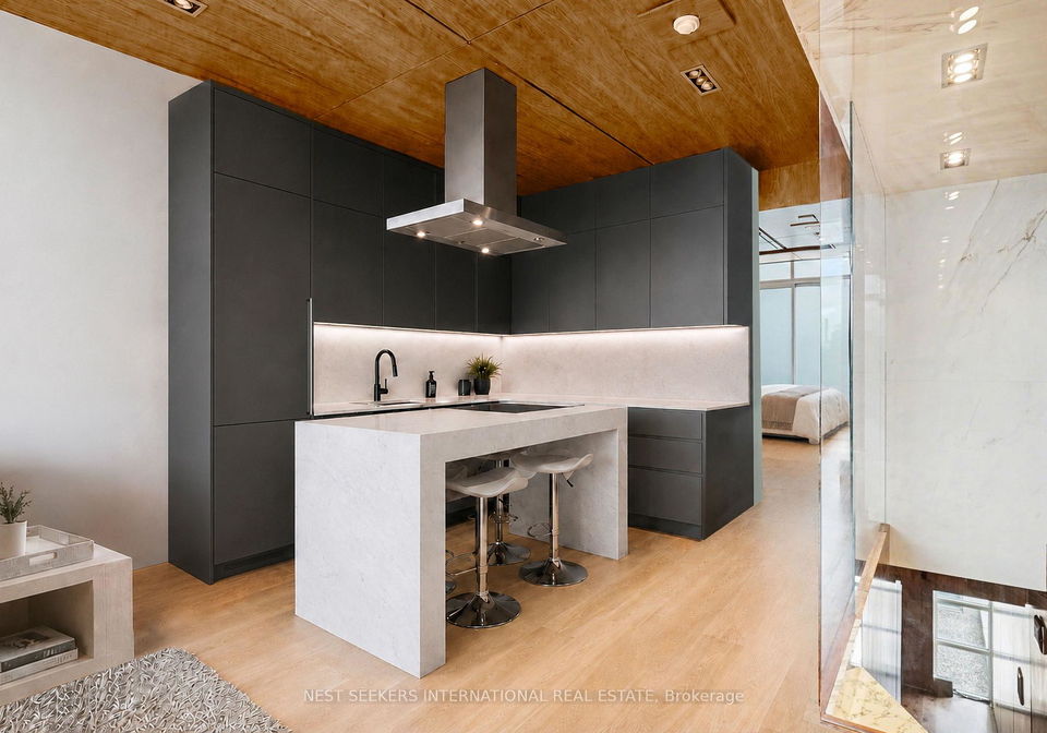 388-richmond-street-w-toronto-toronto-ontario-c13594638