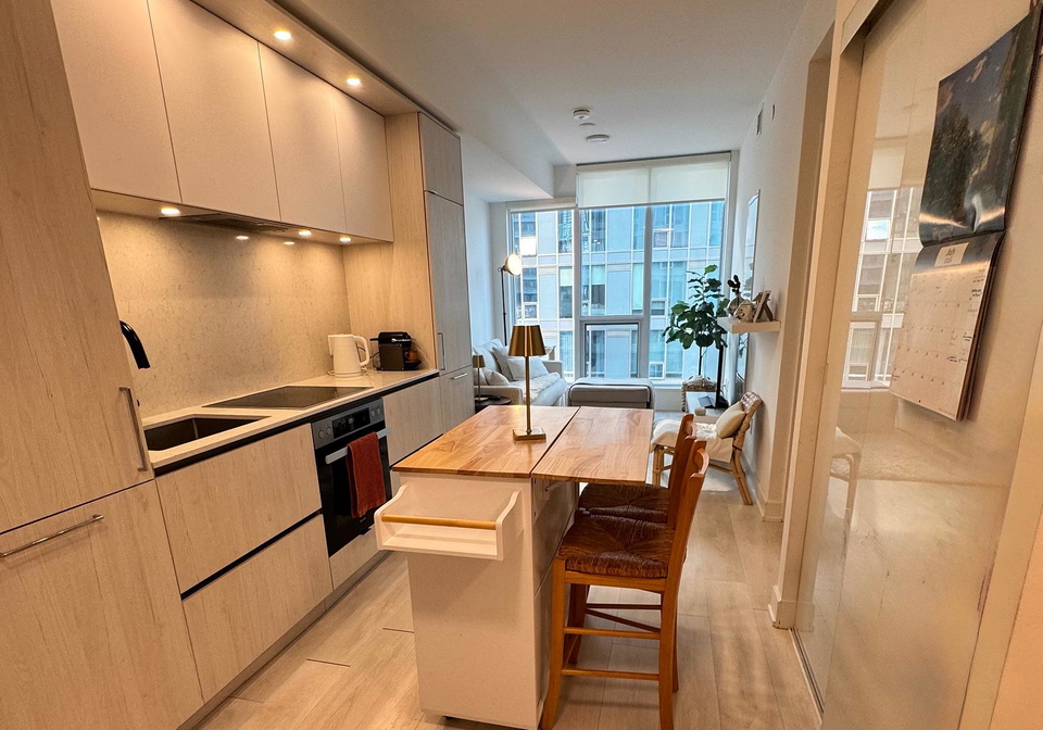 15-mercer-street-toronto-toronto-ontario-c13595898