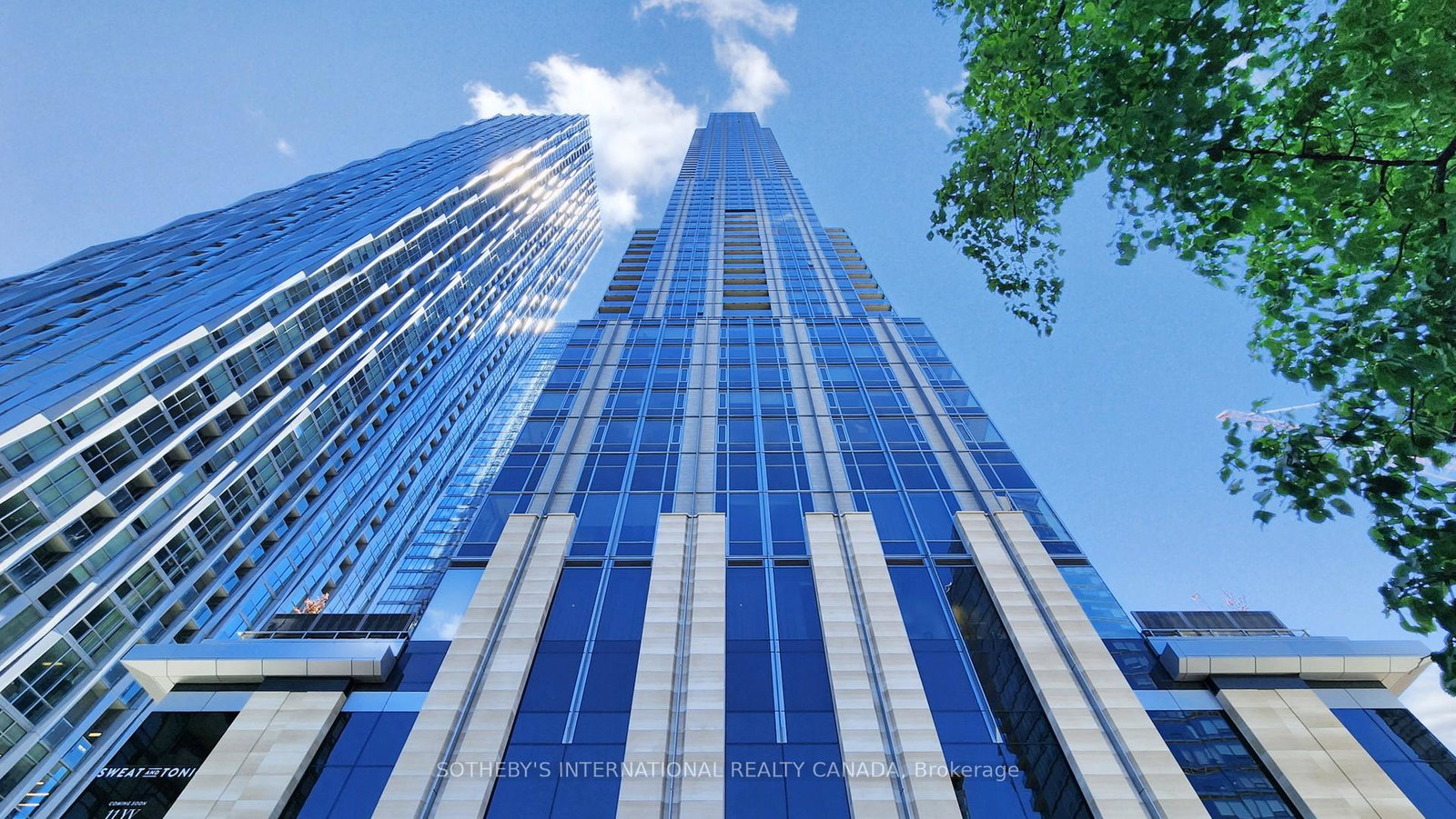 11-yorkville-avenue-toronto-toronto-ontario-c13598656
