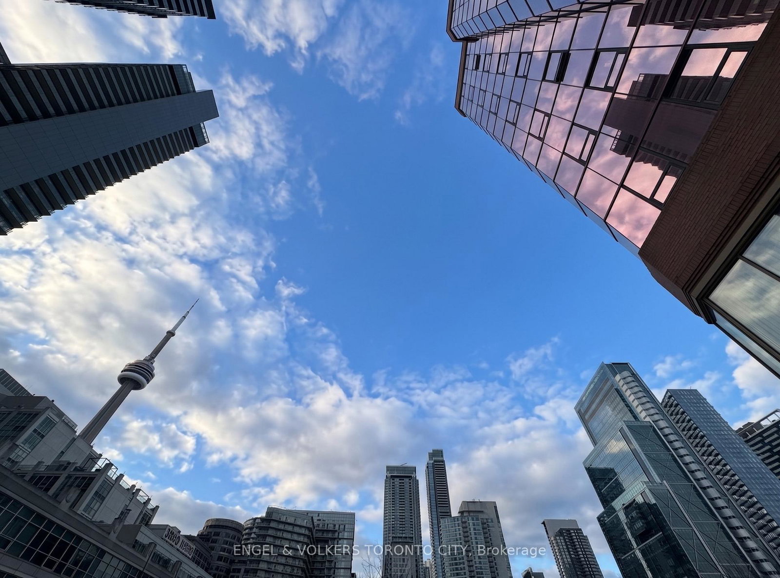 393-king-street-w-toronto-toronto-ontario-c13598696
