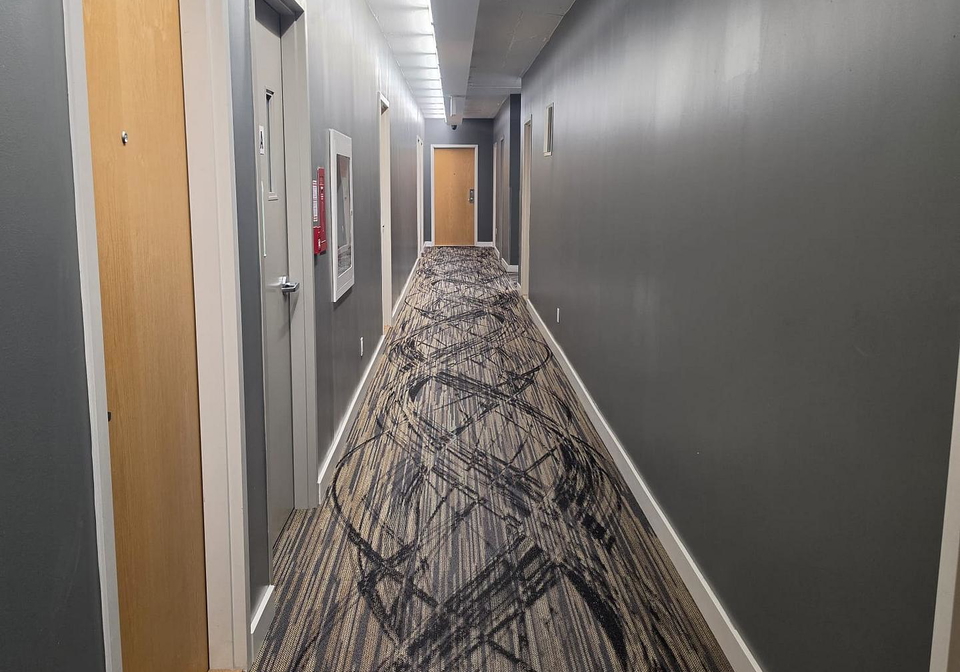 150-sudbury-street-toronto-toronto-ontario-c13610228