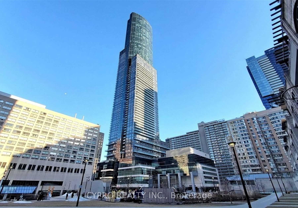 388-yonge-street-toronto-toronto-ontario-c13613240