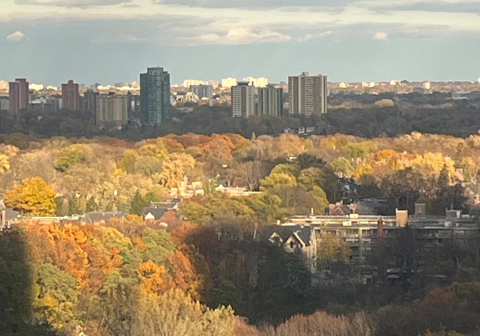 1-yorkville-avenue-toronto-toronto-ontario-c13616388