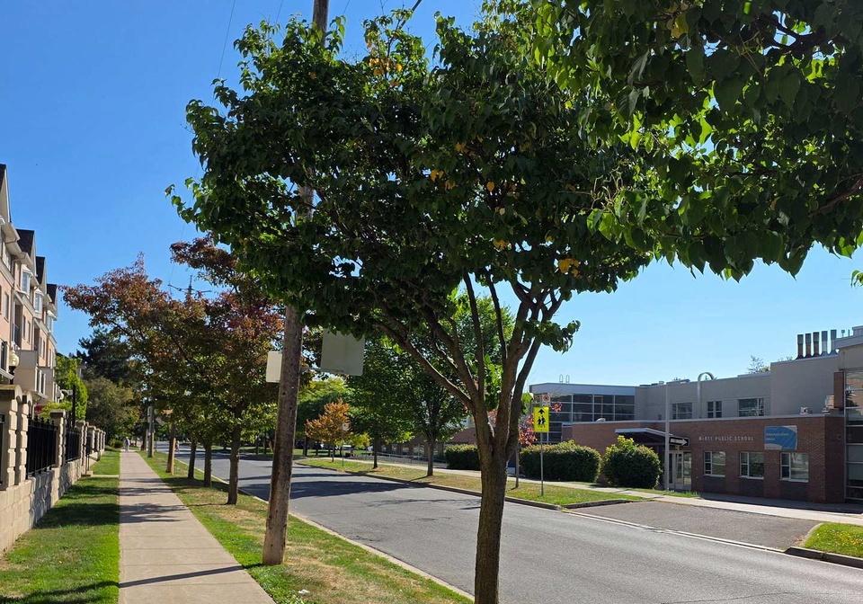 221-grandview-way-toronto-north-york-ontario-c13616544