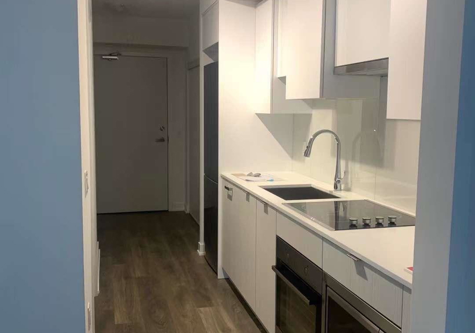 195-redpath-avenue-toronto-toronto-ontario-c13618630