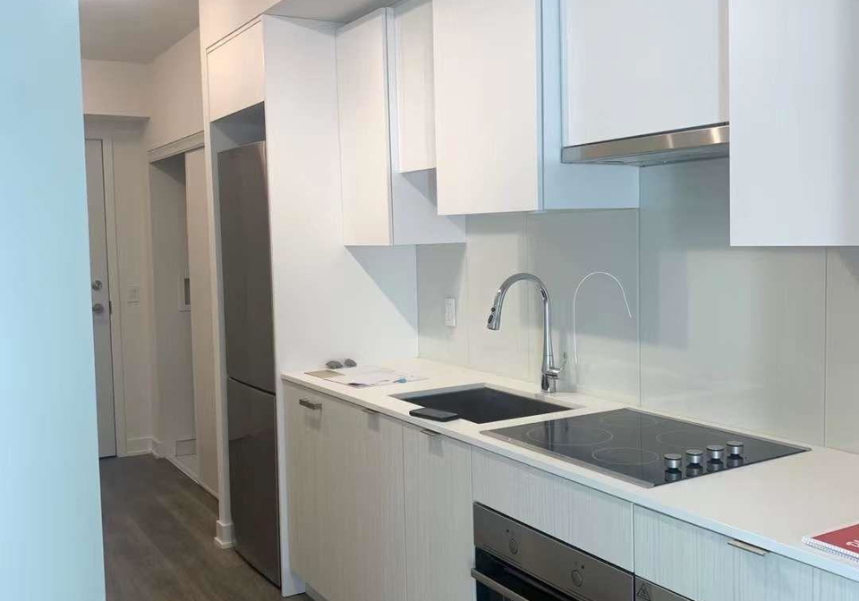 195-redpath-avenue-toronto-toronto-ontario-c13618630