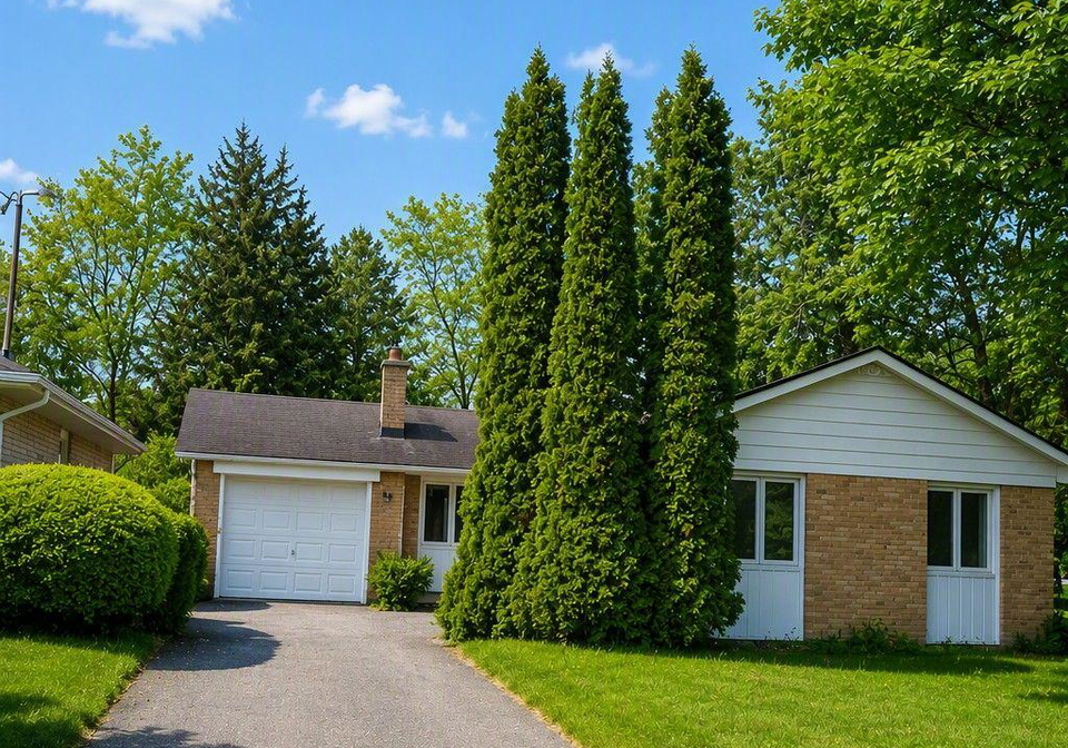98-wigmore-drive-toronto-north-york-ontario-c13626040