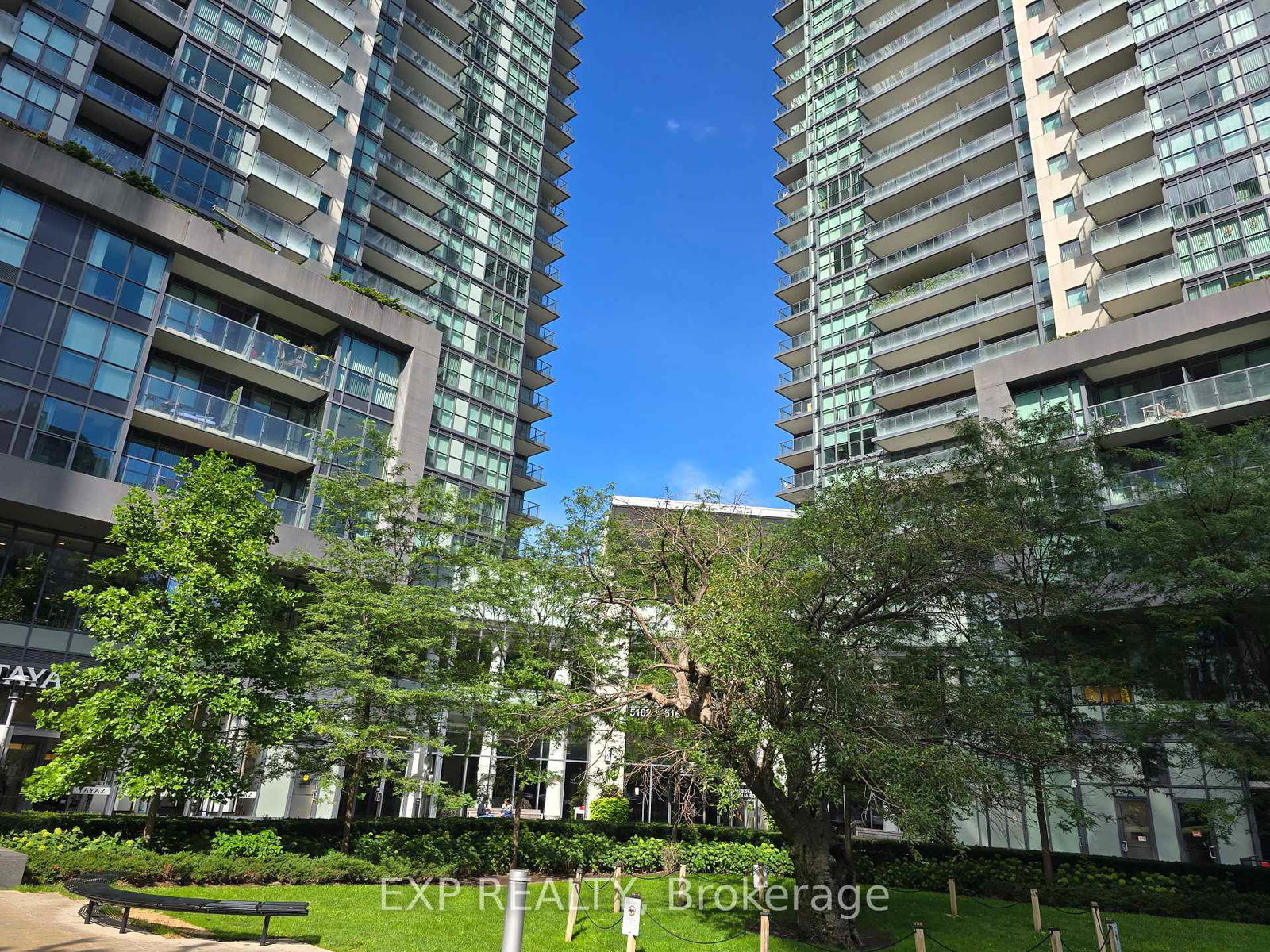 5168-yonge-street-toronto-toronto-ontario-c13628944