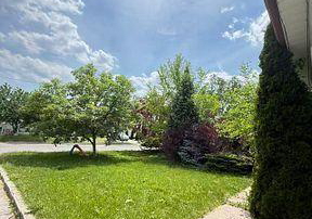 256-patricia-avenue-toronto-toronto-ontario-c13637888
