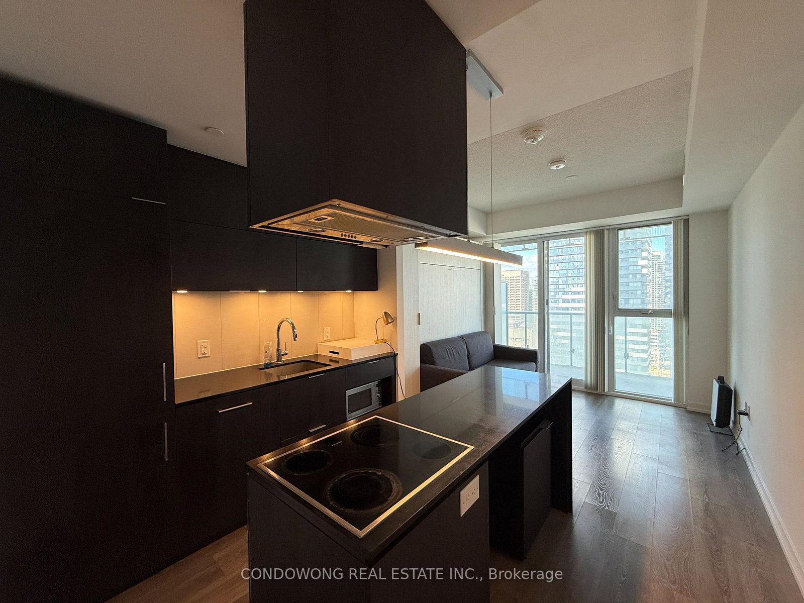15-lower-jarvis-street-toronto-toronto-ontario-c13652220