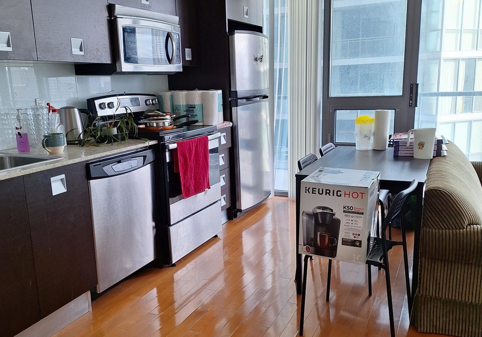 33-charles-street-toronto-toronto-ontario-c13654124