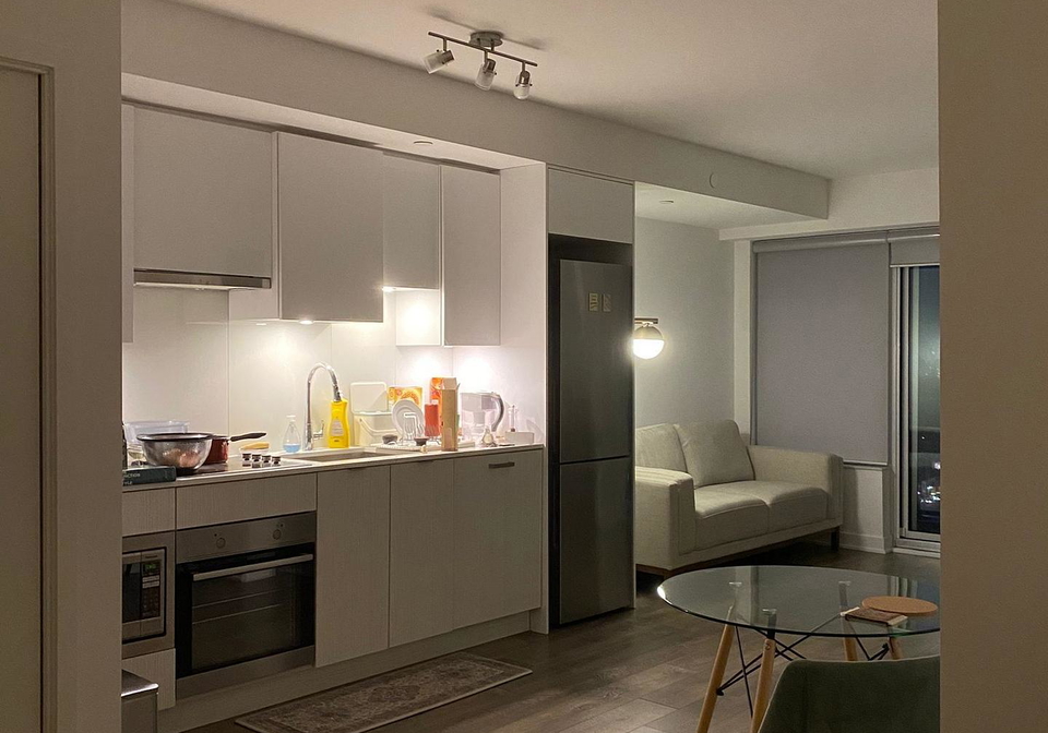 195-redpath-avenue-toronto-toronto-ontario-c13654600