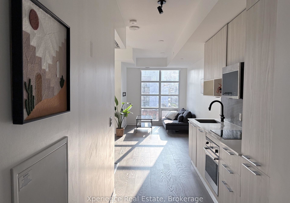 501-adelaide-street-w-toronto-toronto-ontario-c13655988