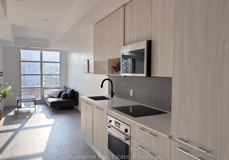 501-adelaide-street-w-toronto-toronto-ontario-c13655988