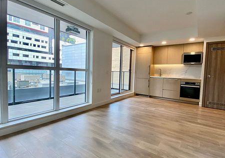 38-widmer-street-toronto-toronto-ontario-c13662864