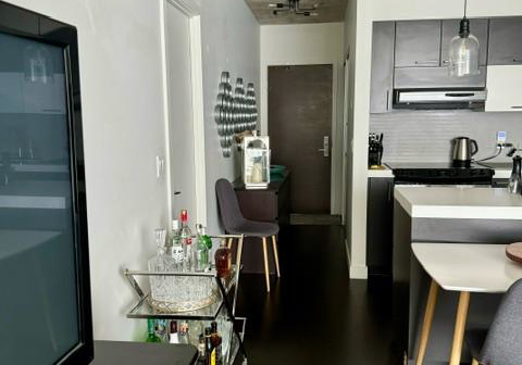 55-stewart-street-toronto-toronto-ontario-c13665656