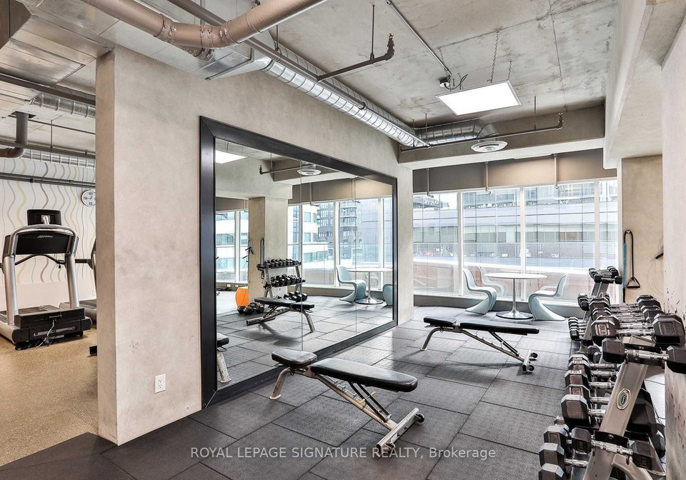 21-widmer-street-toronto-toronto-ontario-c13666272