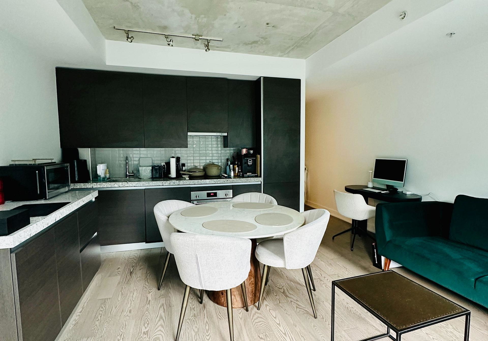 38-stewart-street-toronto-toronto-ontario-c13666438
