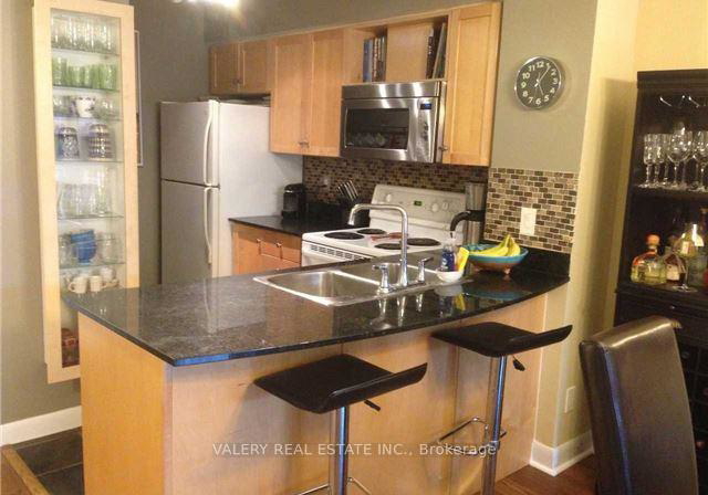 313-richmond-street-e-toronto-toronto-ontario-c13669144