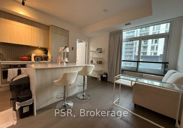 501-adelaide-street-w-toronto-toronto-ontario-c13673426