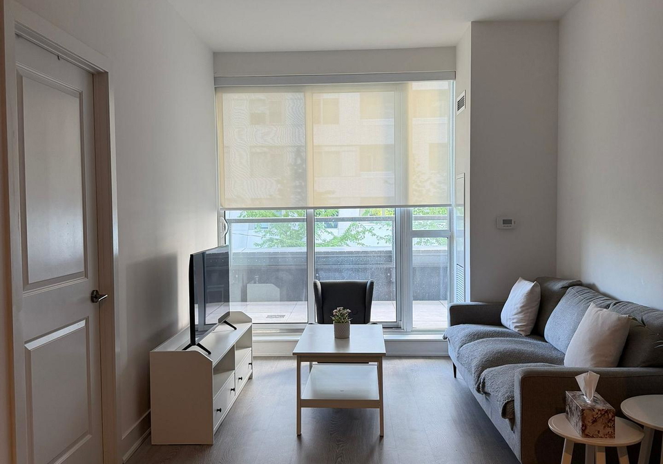 11-lillian-street-toronto-toronto-ontario-c13673810