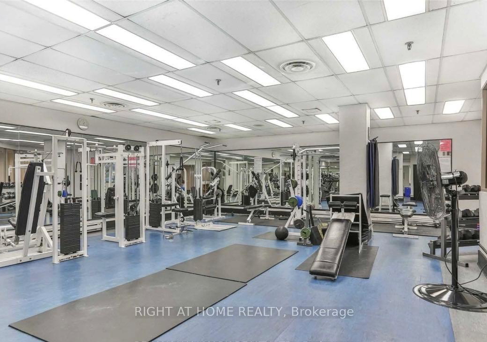44-gerrard-street-w-toronto-toronto-ontario-c13674300