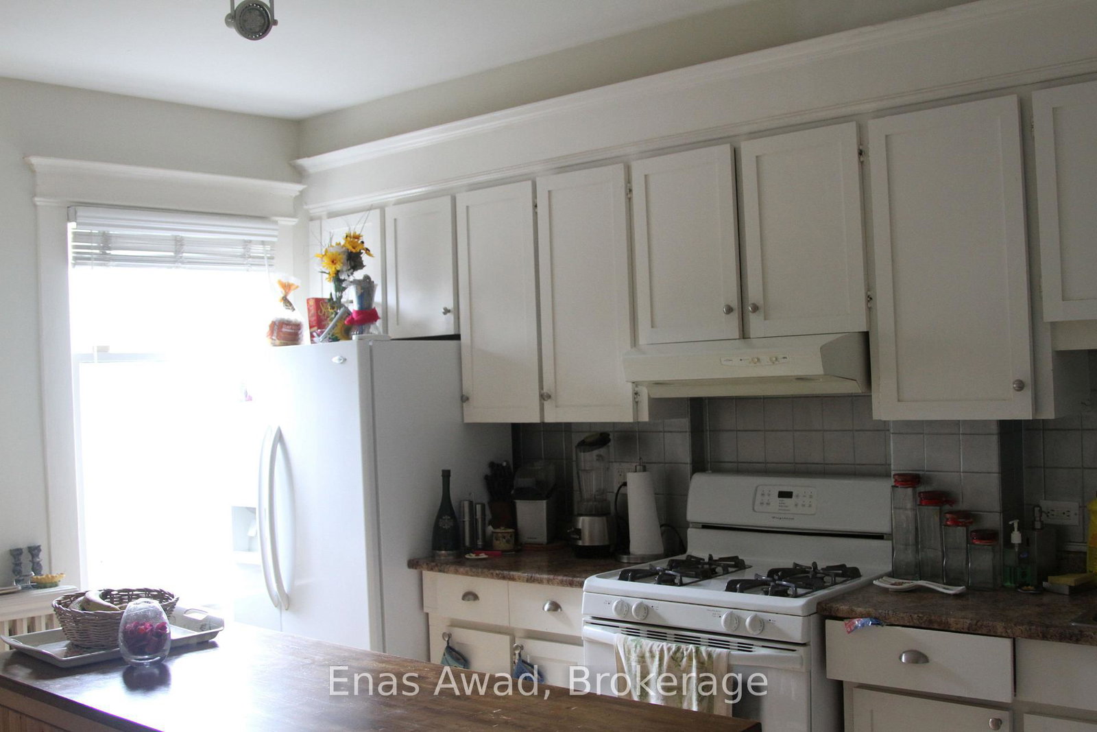 738-manning-avenue-toronto-toronto-ontario-c13674728