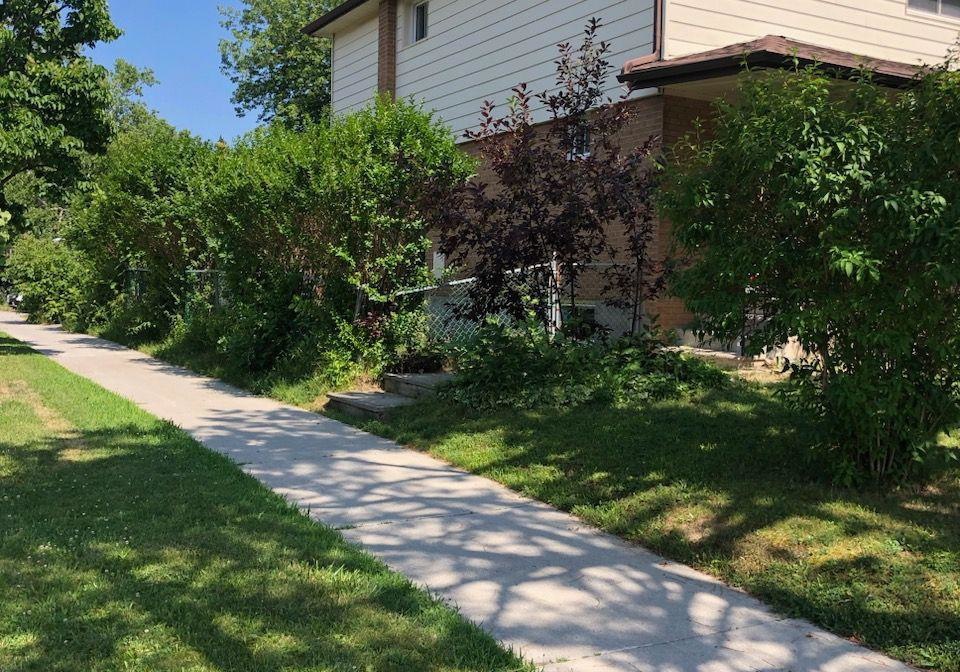 211-pineway-boulevard-toronto-north-york-ontario-c13679964