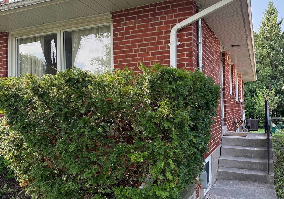 232-newton-drive-toronto-north-york-ontario-c13680068