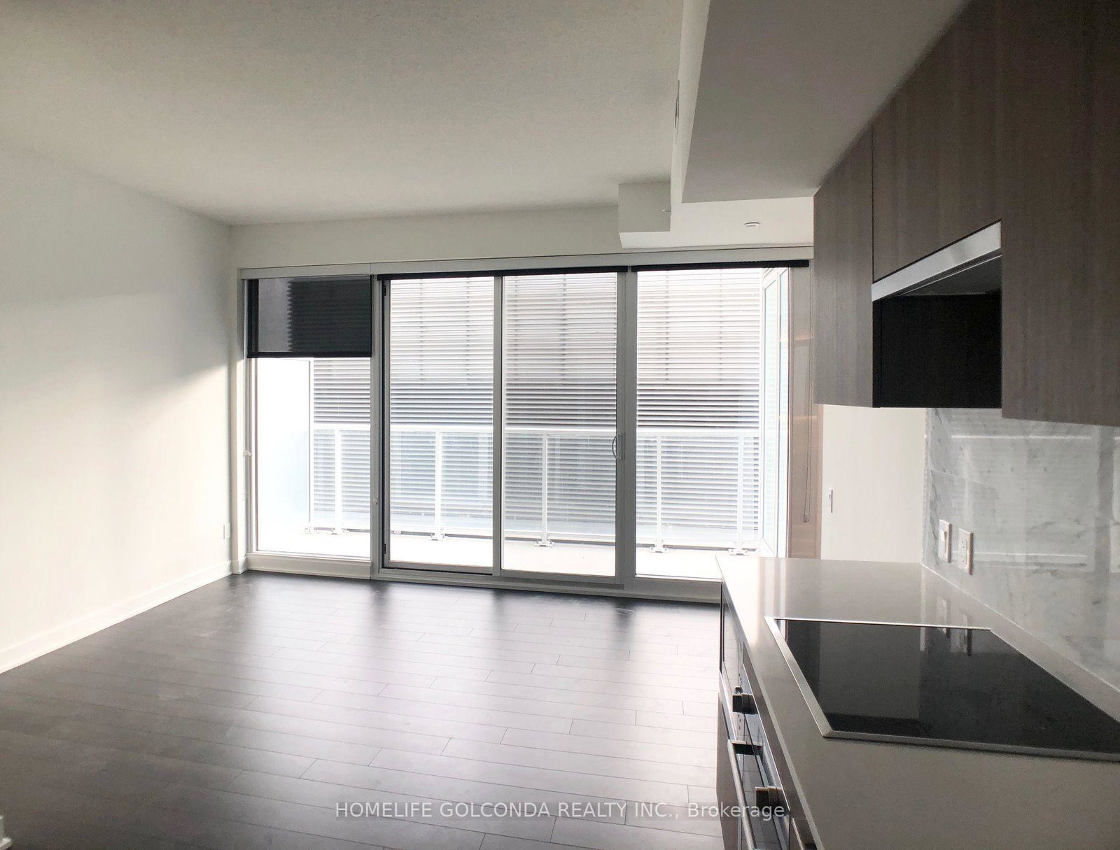 17-bathurst-street-toronto-toronto-ontario-c13683316
