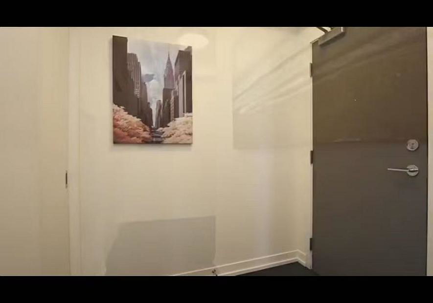 21-widmer-street-toronto-toronto-ontario-c13685668