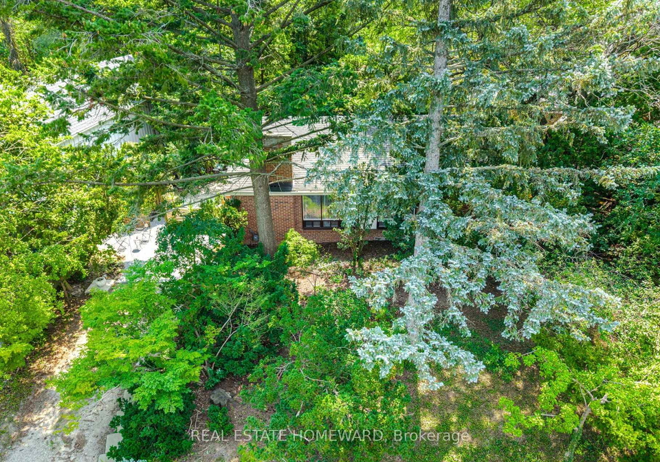 3-shadwell-place-toronto-north-york-ontario-c13685848