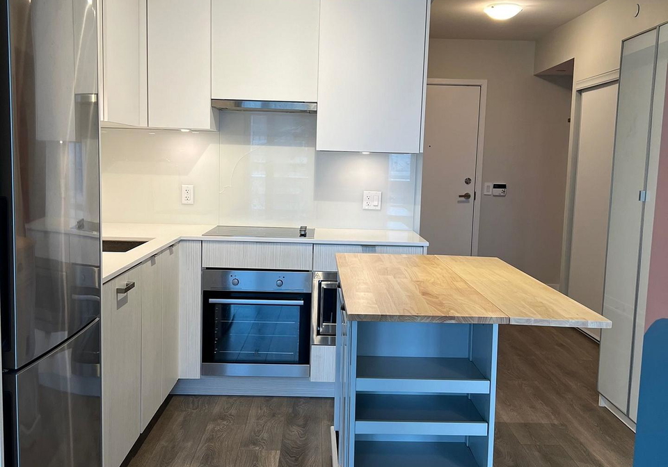 195-redpath-avenue-toronto-toronto-ontario-c13686246
