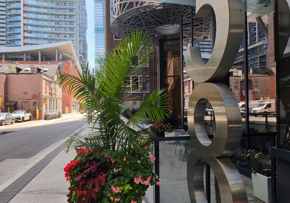 38-widmer-street-toronto-toronto-ontario-c13686962