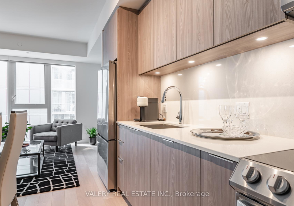 357-king-street-w-toronto-toronto-ontario-c13693824