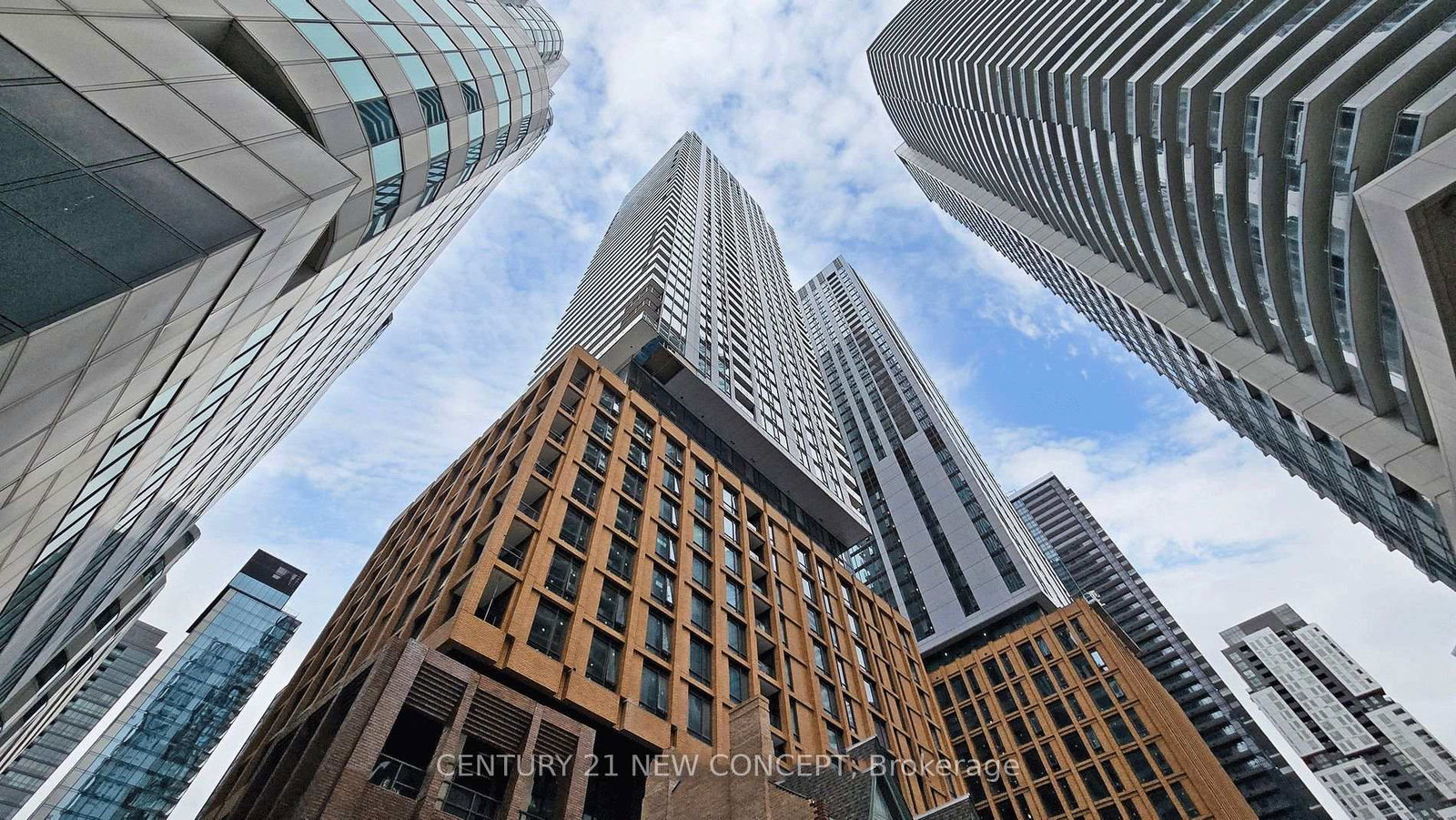8-widmer-street-toronto-toronto-ontario-c13694670