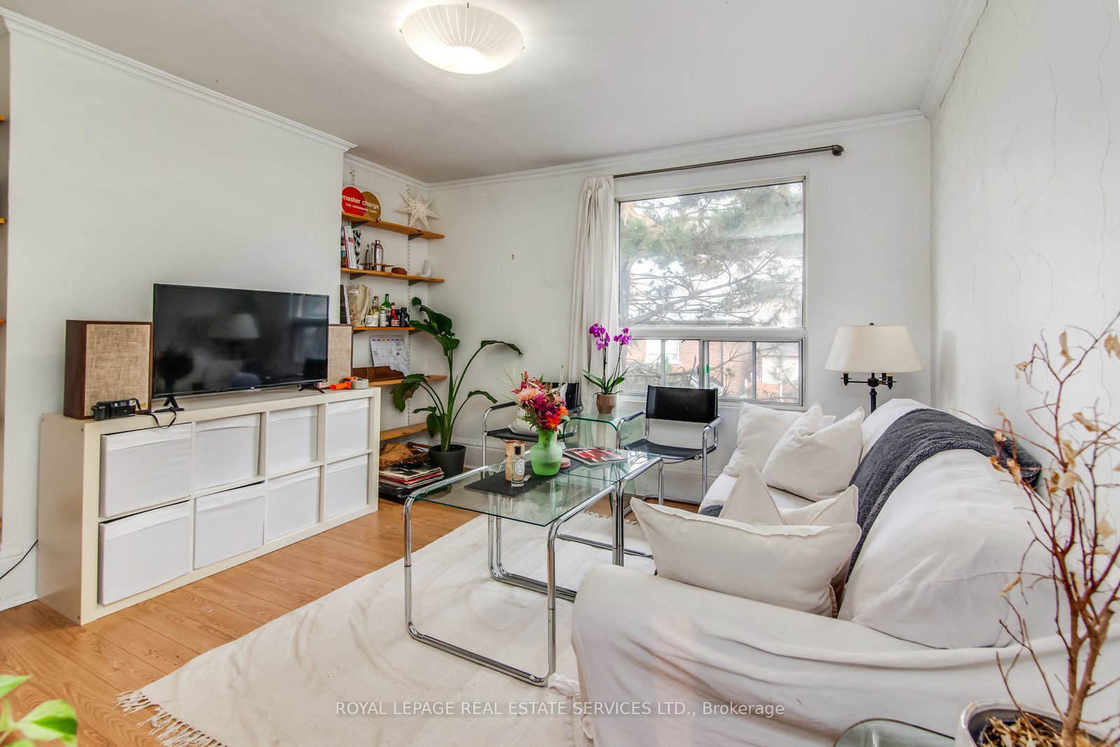 50-rusholme-road-toronto-toronto-ontario-c13695220