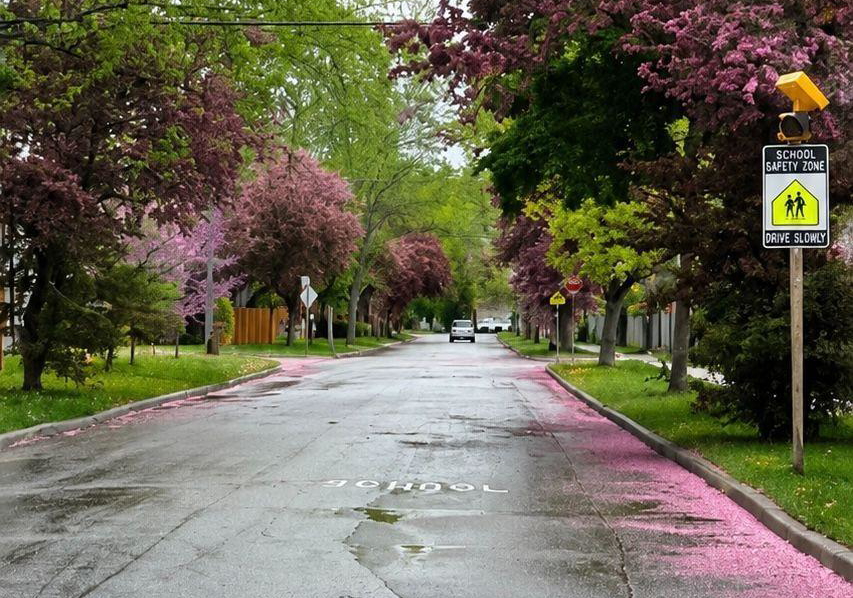 378-princess-avenue-toronto-north-york-ontario-c13695642