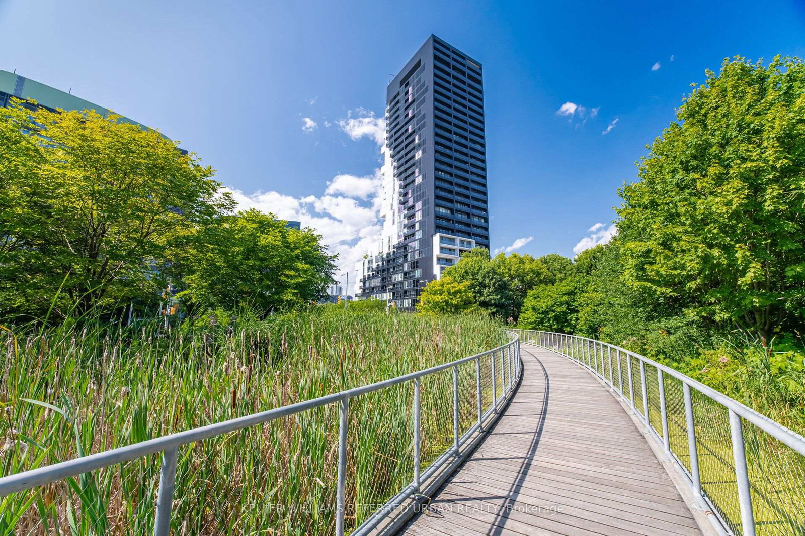 170-bayview-avenue-toronto-toronto-ontario-c13701602