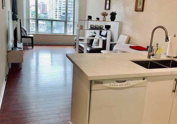 909-bay-street-toronto-toronto-ontario-c13702980