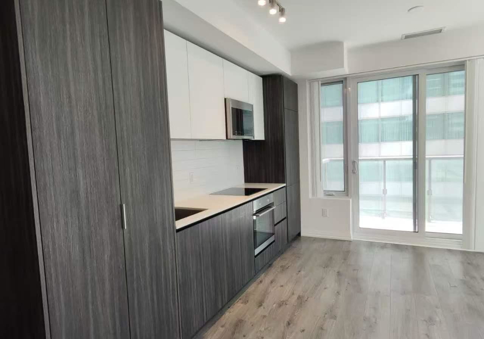 8-widmer-street-toronto-toronto-ontario-c13704360