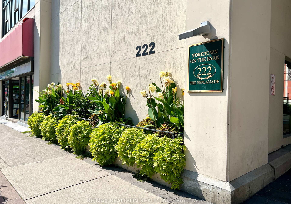 222-the-esplanade-toronto-toronto-ontario-c13715086