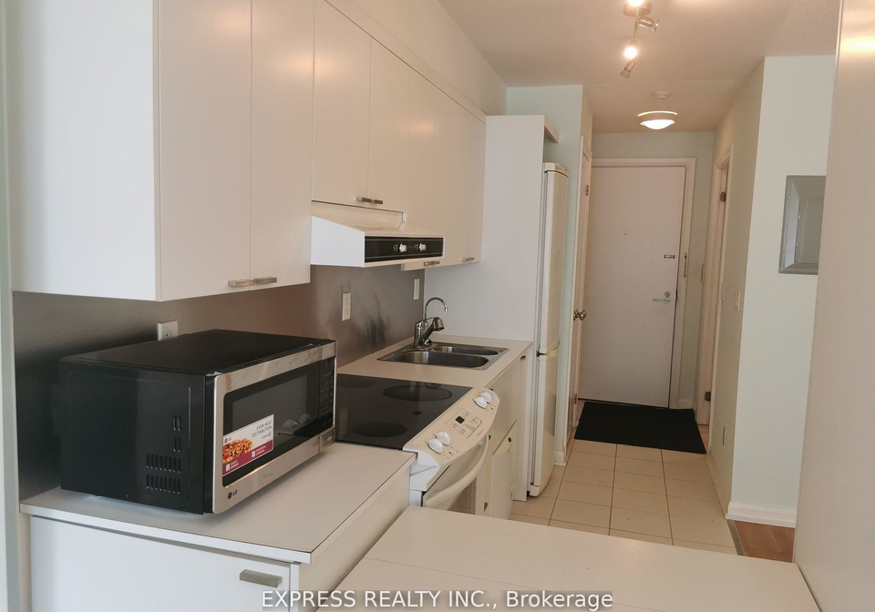 111-elizabeth-street-toronto-toronto-ontario-c13723324