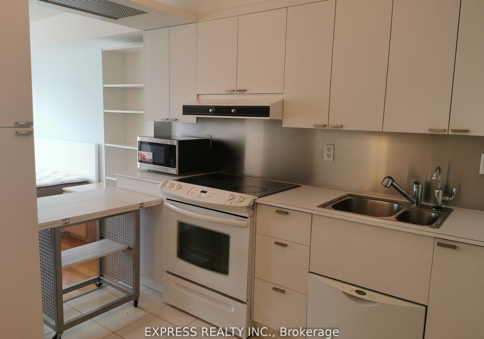 111-elizabeth-street-toronto-toronto-ontario-c13723324